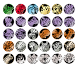 【中国版】星彩晶璃コインセット