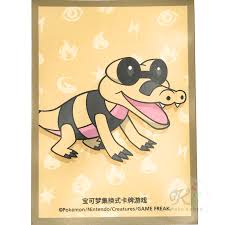 20時販売開始✅️【中国版】メグロコ スリーブ