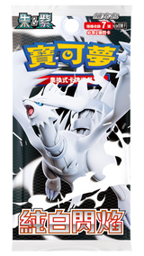 【中国版】ホワイトフレア 1BOX